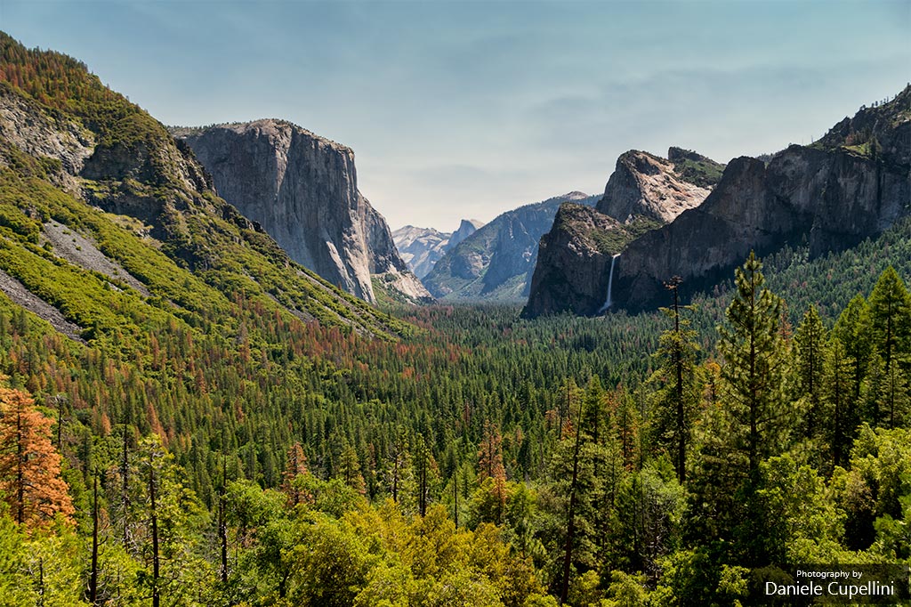 Yosemite - Linee guida 1